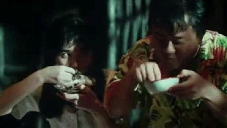 打真军电影在线观看,巅峰对决，在线观影揭秘