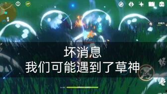 关于草神爆料的视频素材,视频素材揭示神秘生物真实面貌 第3张 关于草神爆料的视频素材,视频素材揭示神秘生物真实面貌 第3张